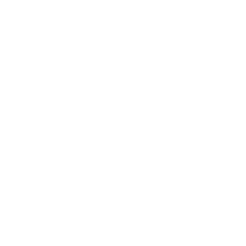 logo T blanc (1)